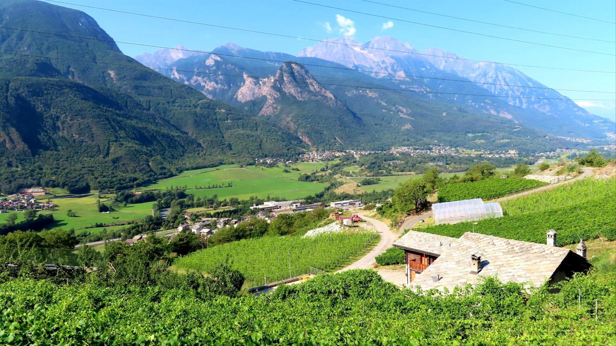 La Vrille - Chambres D'Hotes Verrayes Kültér fotó