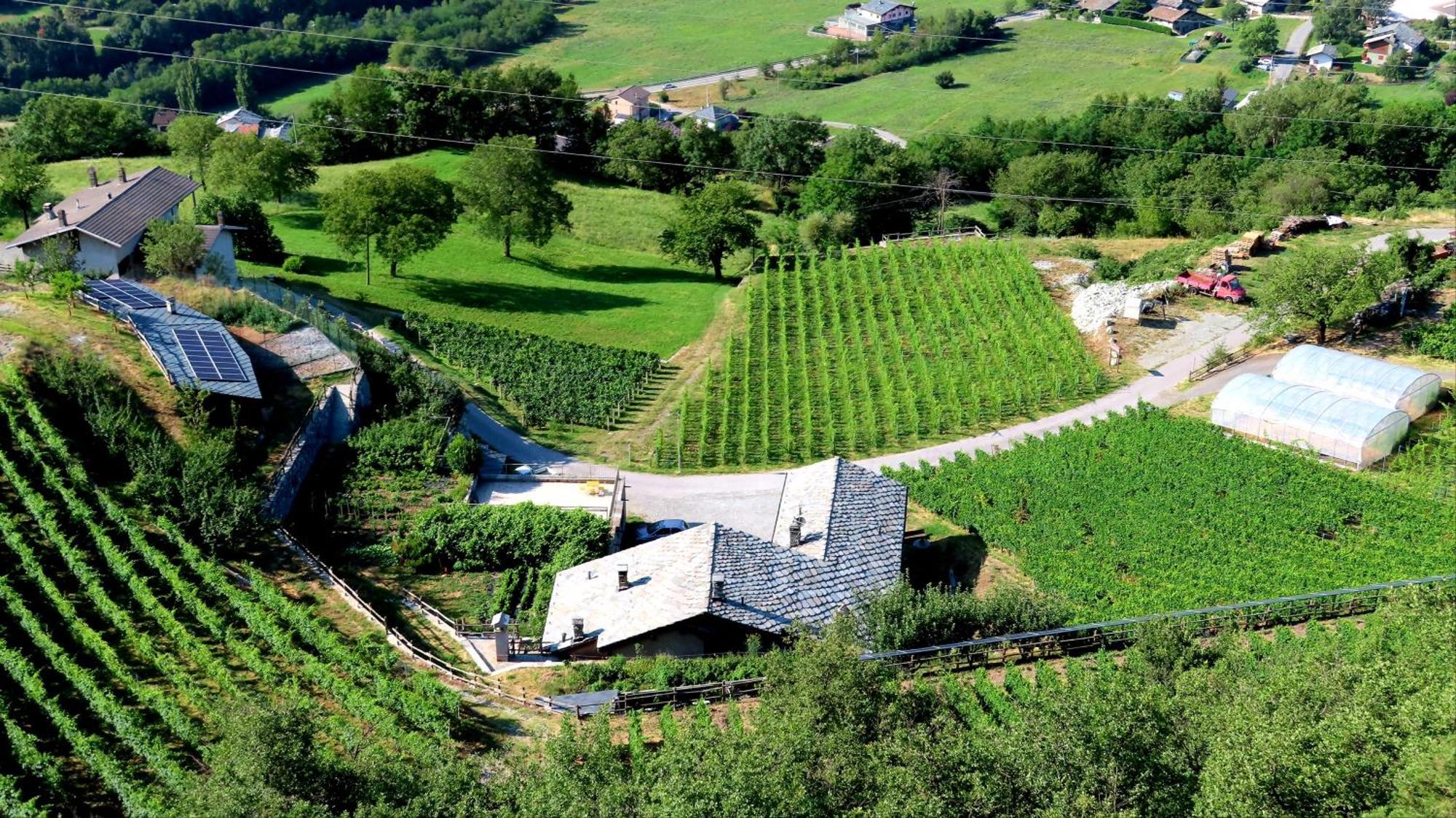La Vrille - Chambres D'Hotes Verrayes Kültér fotó