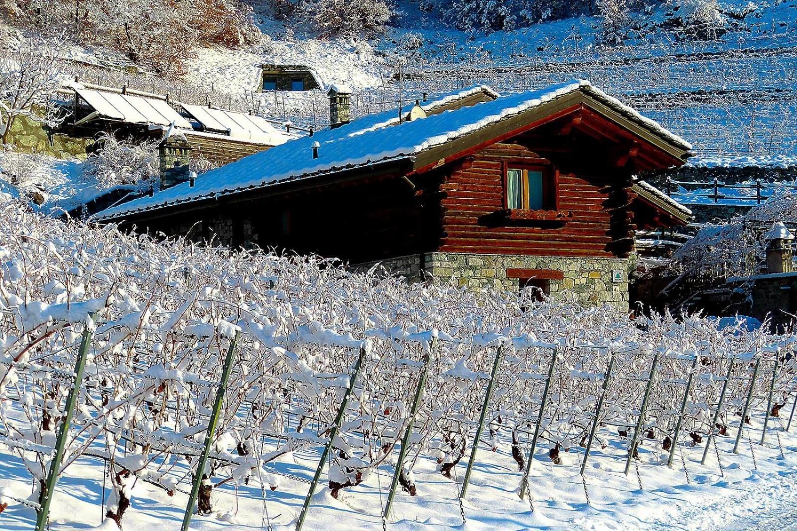 La Vrille - Chambres D'Hotes Verrayes Kültér fotó