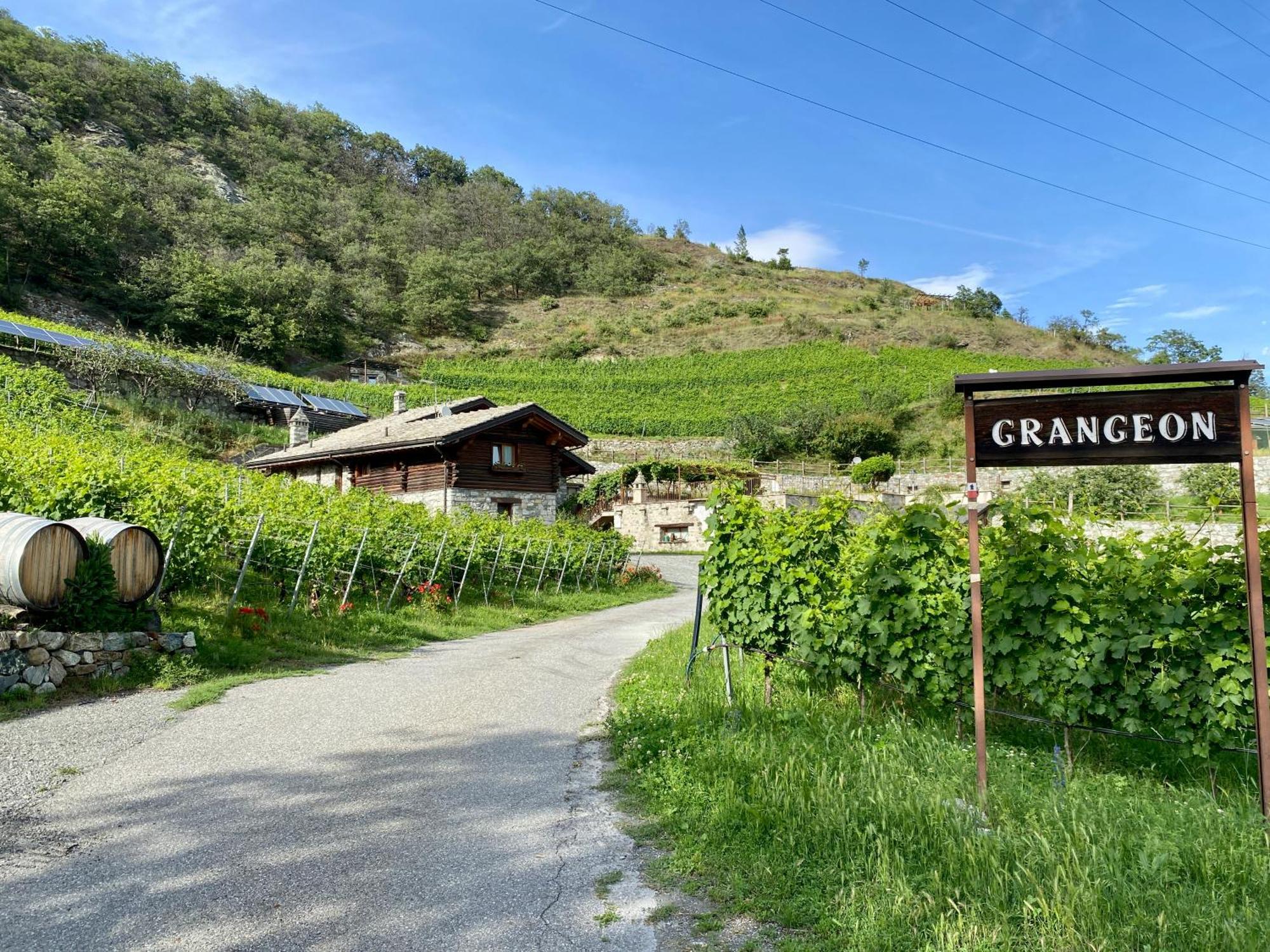 La Vrille - Chambres D'Hotes Verrayes Kültér fotó